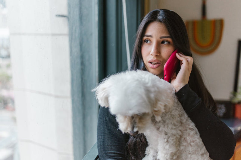 Is Turmeric Safe for Dogs? Vet-Reviewed Guide for Owners