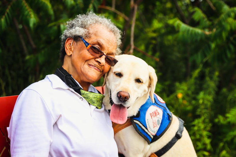 Alternatives to Rimadyl for Dogs: An Owner's Guide
