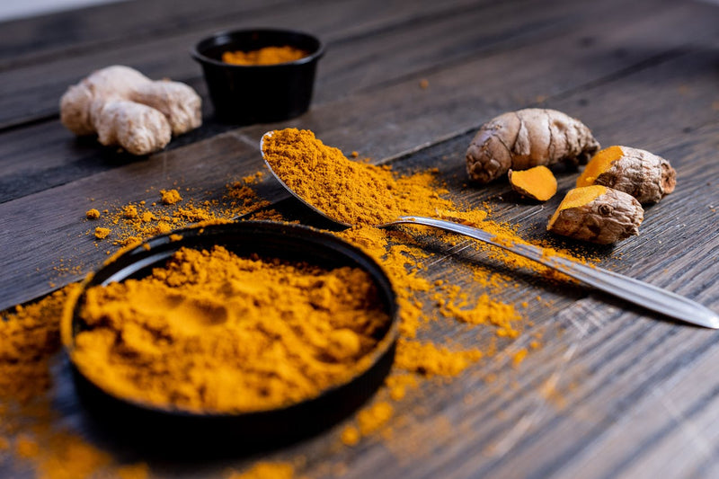 Curcumin vs Turmeric for Dogs: What's the Difference?