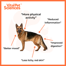 Load image into Gallery viewer, PCQ Pet™ Pain and Inflammation Relief for Dogs