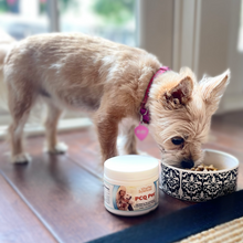 Load image into Gallery viewer, PCQ Pet™ Pain and Inflammation Relief for Dogs Simple