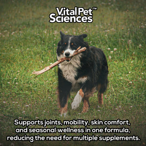 PCQ Pet lifestyle