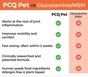 PCQ Pet lifestyle