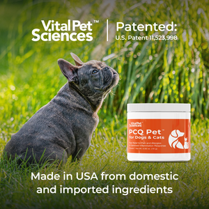 PCQ Pet lifestyle